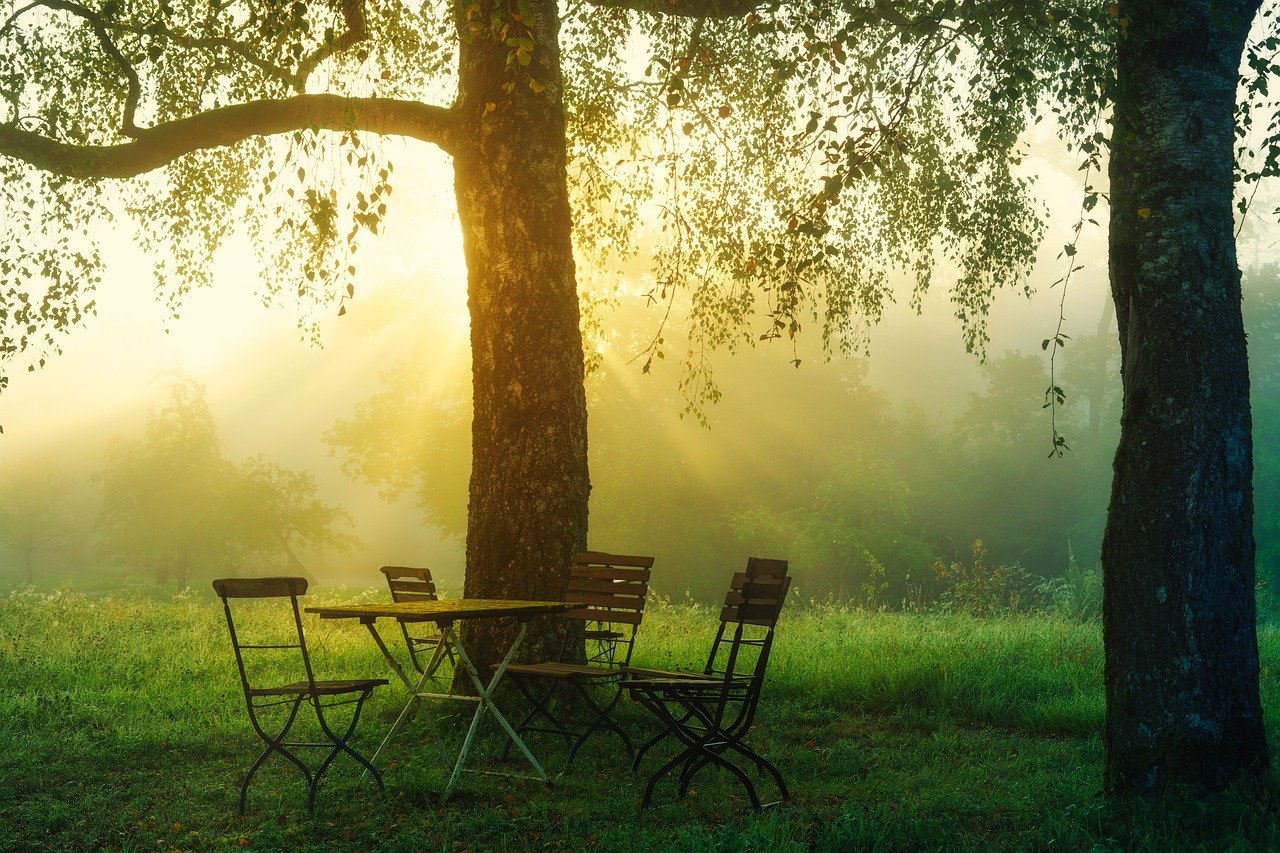 How to Design a Sensory Garden for Kids